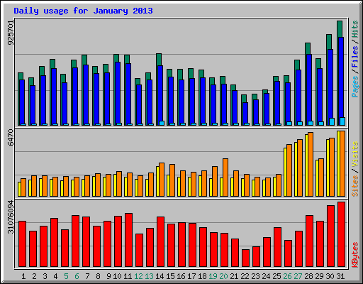 Daily usage for January 2013