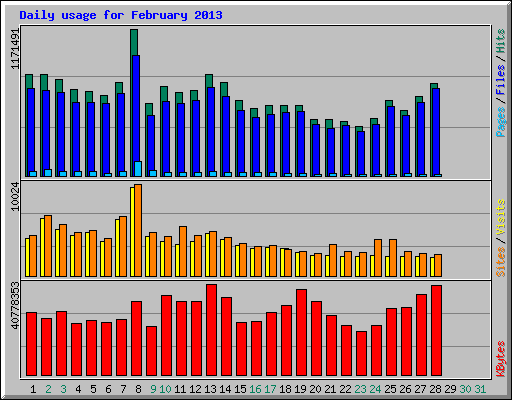 Daily usage for February 2013