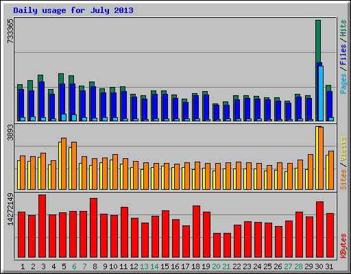 Daily usage for July 2013