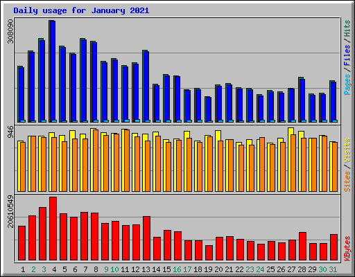 Daily usage for January 2021