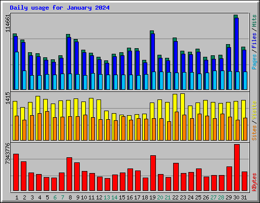 Daily usage for January 2024