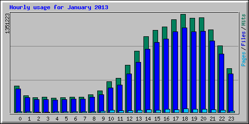 Hourly usage for January 2013