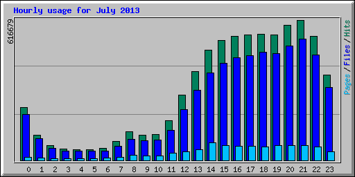 Hourly usage for July 2013