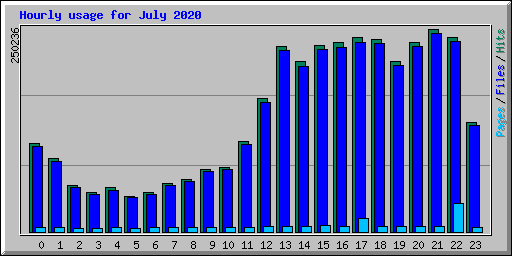 Hourly usage for July 2020