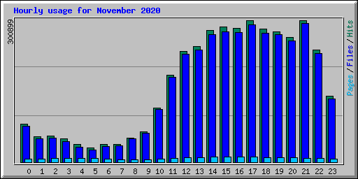 Hourly usage for November 2020