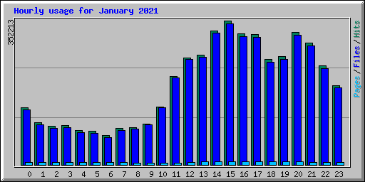 Hourly usage for January 2021