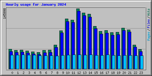 Hourly usage for January 2024