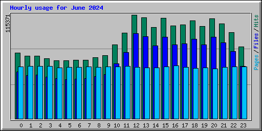 Hourly usage for June 2024