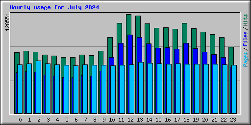 Hourly usage for July 2024