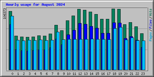 Hourly usage for August 2024