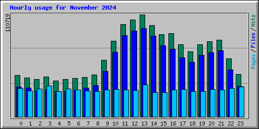 Hourly usage for November 2024