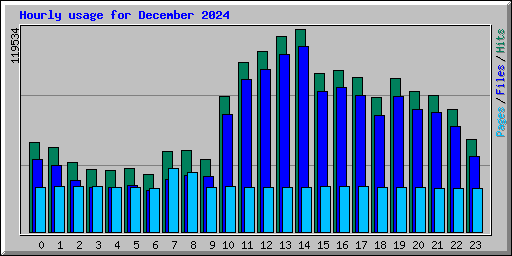 Hourly usage for December 2024