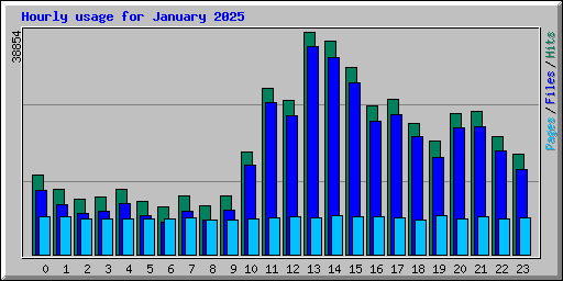 Hourly usage for January 2025