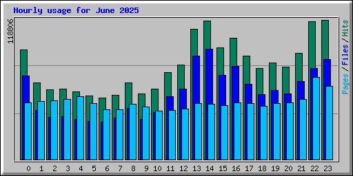 Hourly usage for June 2025