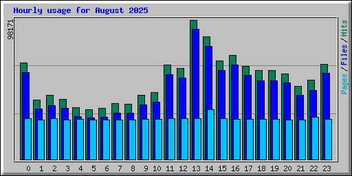 Hourly usage for August 2025