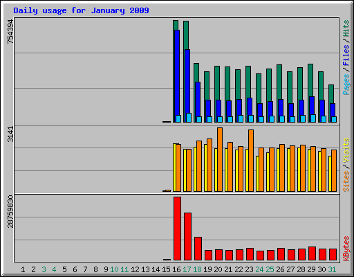 Daily usage for January 2009