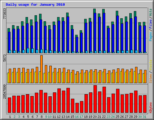 Daily usage for January 2010