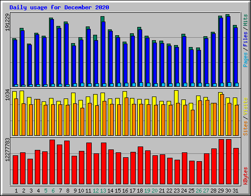 Daily usage for December 2020