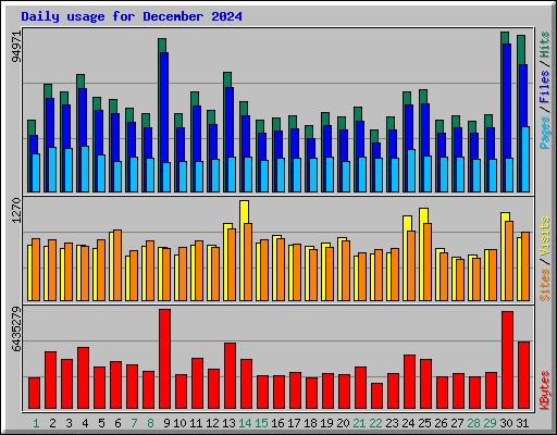 Daily usage for December 2024