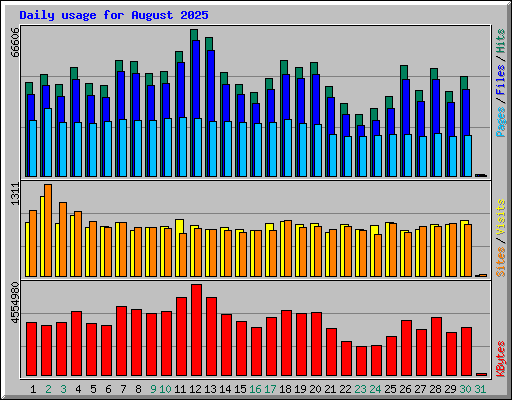 Daily usage for August 2025