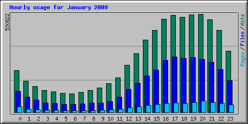 Hourly usage for January 2009