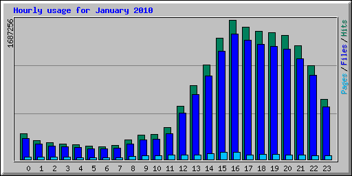 Hourly usage for January 2010