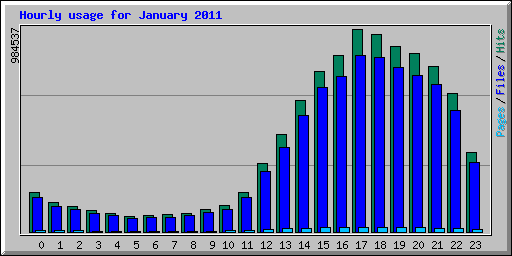 Hourly usage for January 2011