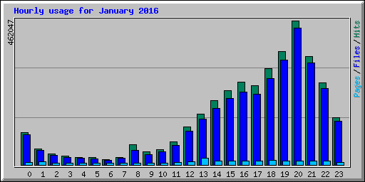 Hourly usage for January 2016