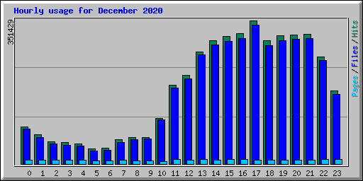 Hourly usage for December 2020