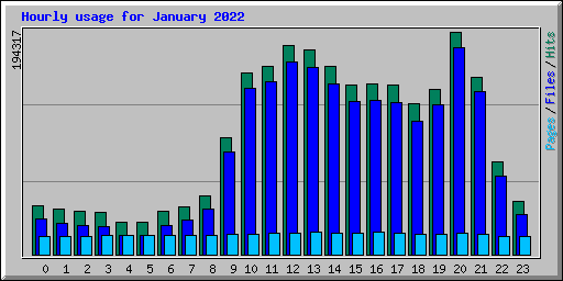 Hourly usage for January 2022