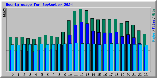 Hourly usage for September 2024