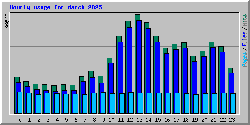 Hourly usage for March 2025