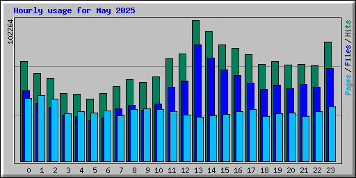 Hourly usage for May 2025