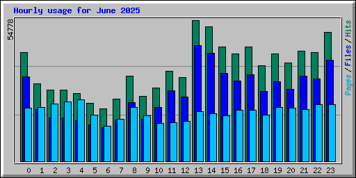 Hourly usage for June 2025