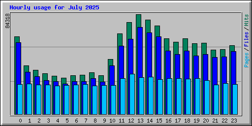 Hourly usage for July 2025